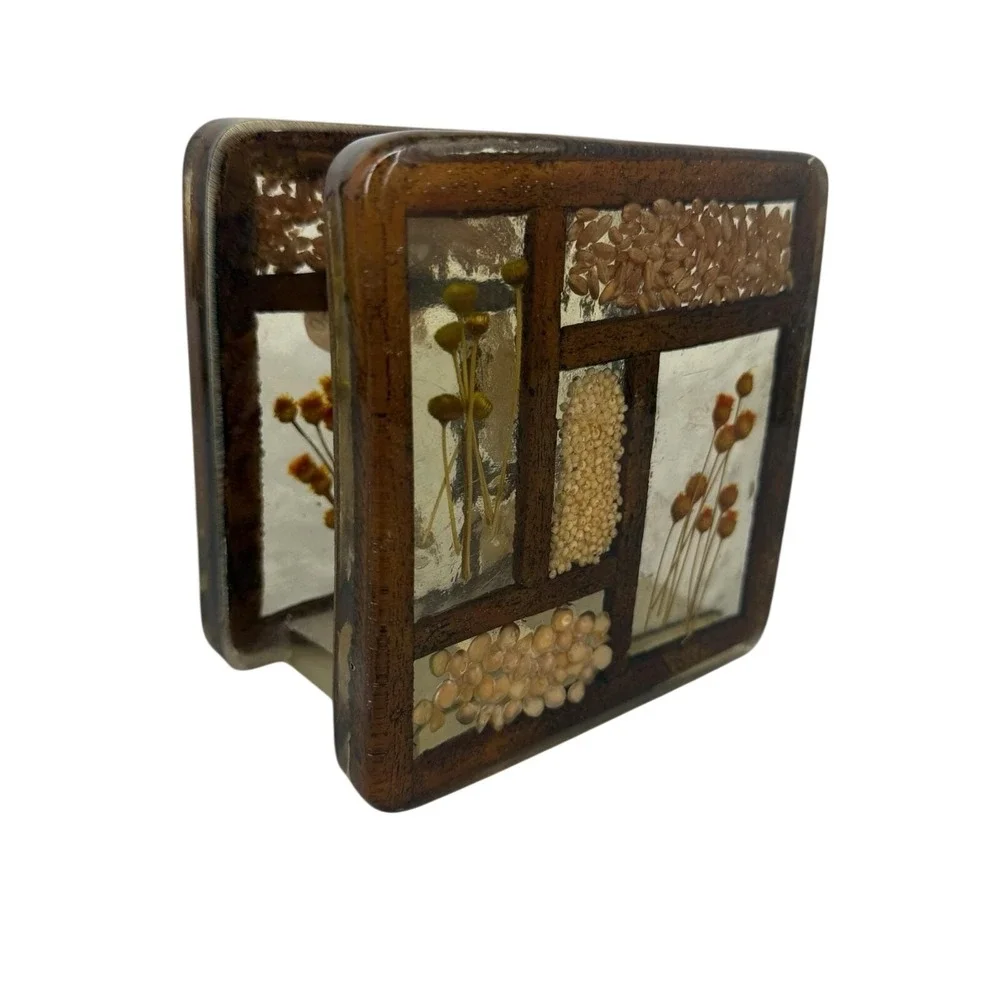 Vtg Colorflo Retro Lucite Dried Flowers, Seeds & Grains Napkin Holder 1970's MCM